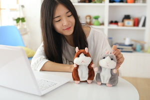 Talking Hamster